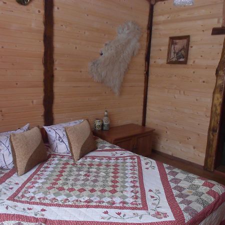 Sadyba Karpatskyi Vedmid Kosów Zewnętrze zdjęcie