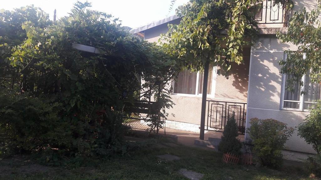 Sadyba Karpatskyi Vedmid Kosów Zewnętrze zdjęcie