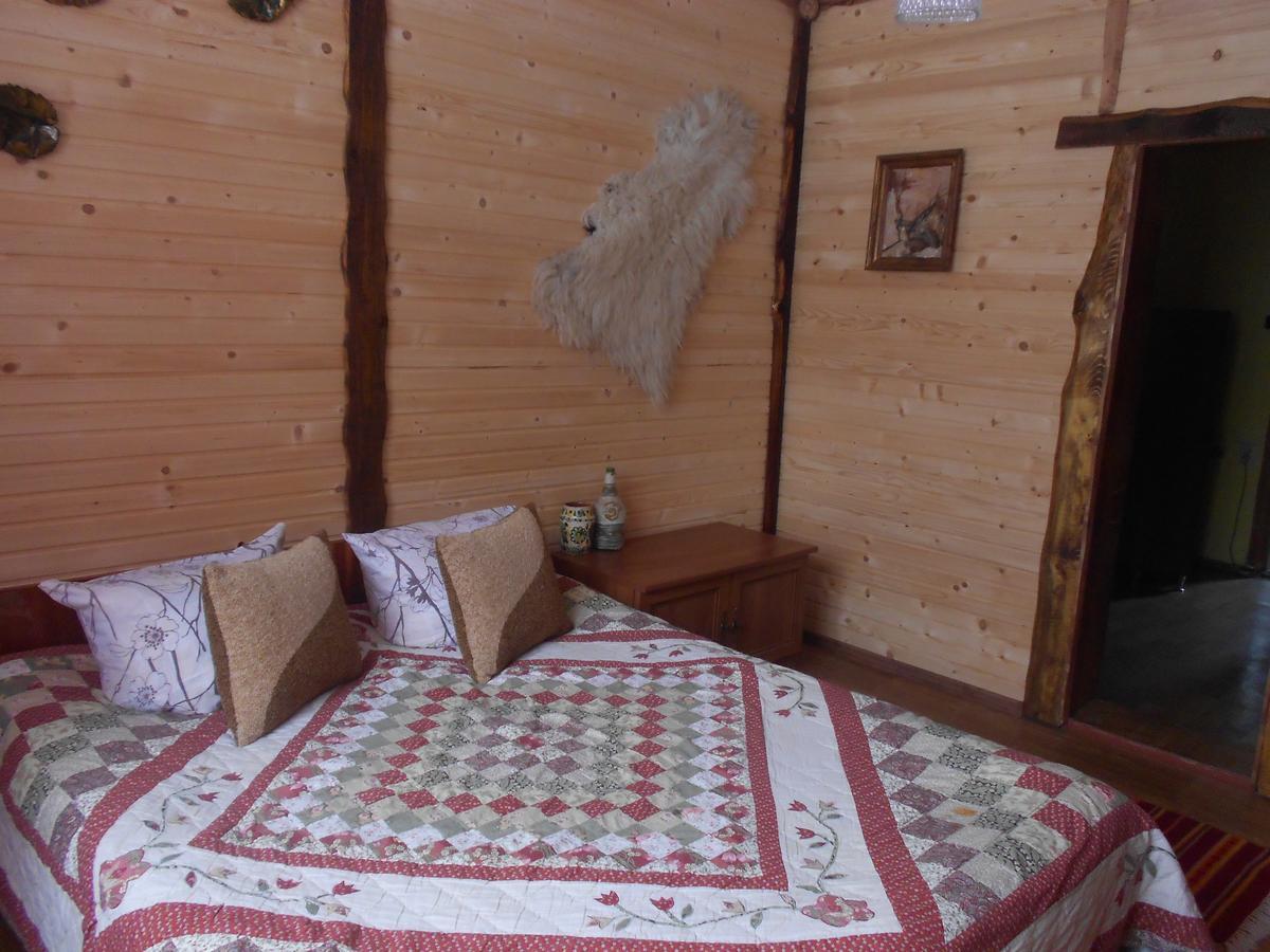 Sadyba Karpatskyi Vedmid Kosów Zewnętrze zdjęcie